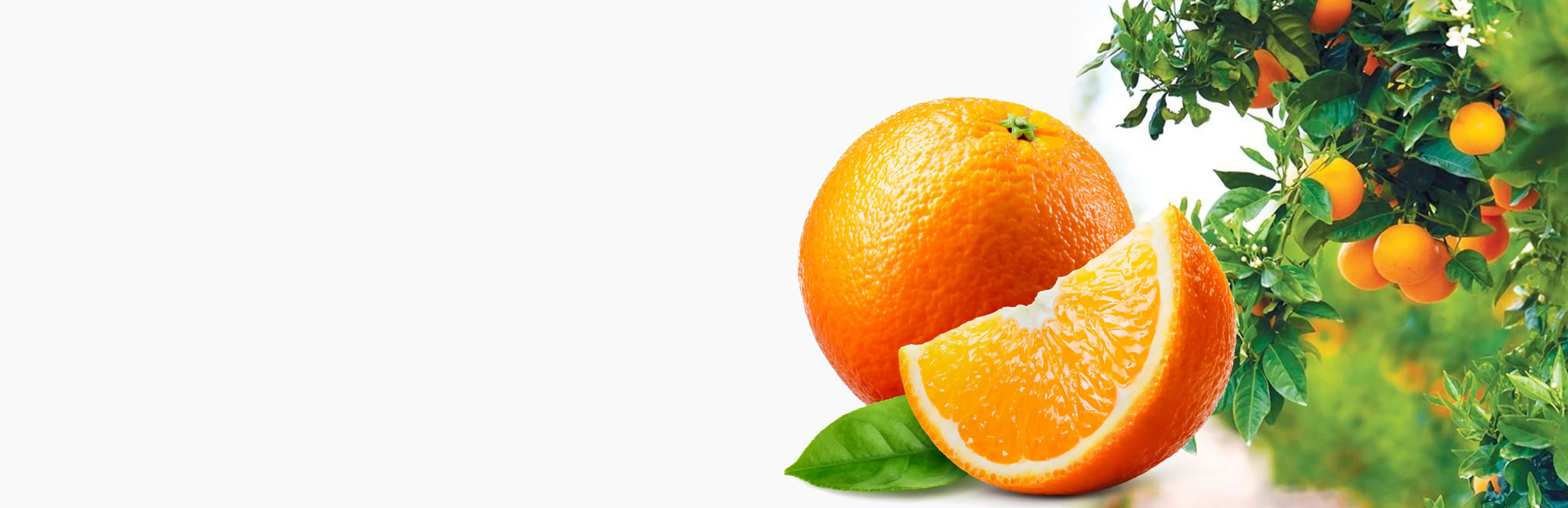 <p><strong>LARANJA IGP ALGARVE</strong><br />NATURALMENTE SUMARENTA</p>